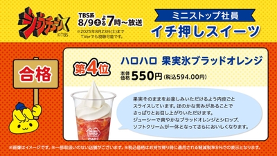 ハロハロ果実氷ブラッドオレンジ説明（画像はイメージです。）