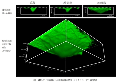 WSvXoTj4DFRJHKvHsga1.jpg?w=940&h=940