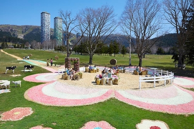 WTCHoMgWPMY9km8i7YsV.jpg?w=940&h=940