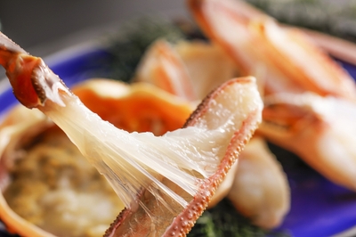 WTSFSDdpT82g4zJOMGhB.jpg?w=940&h=940