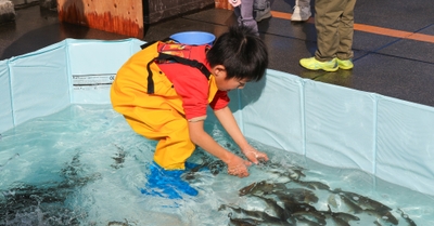 WTqDgN8xJtLQ6vksz8aI.jpg?w=940&h=940