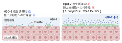 WUBXjUJAAh399TNTYlrY.png?w=940&h=940