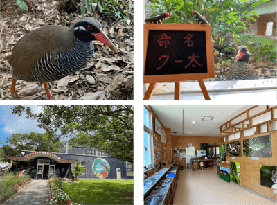 WWTLUeKFO8nqj7qnK13M.png?w=940&h=940