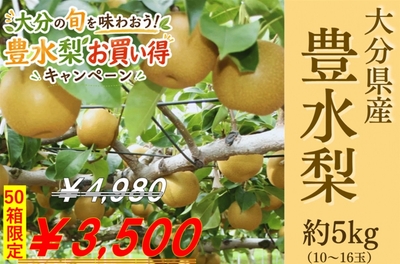 大分県産　豊水梨 約５ｋｇ（Ｒ８年産）