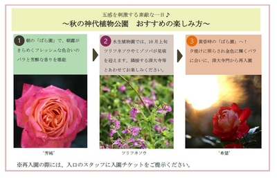WX3b8yHevm6uhxwvhnWB.jpg?w=940&h=940