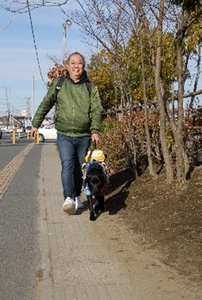 WX9oEv5nB4AelYZEZWzy.jpg?w=940&h=940