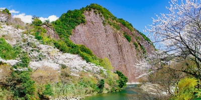 WYSg0CxF4GFJtqxDDVlH.jpg?w=940&h=940