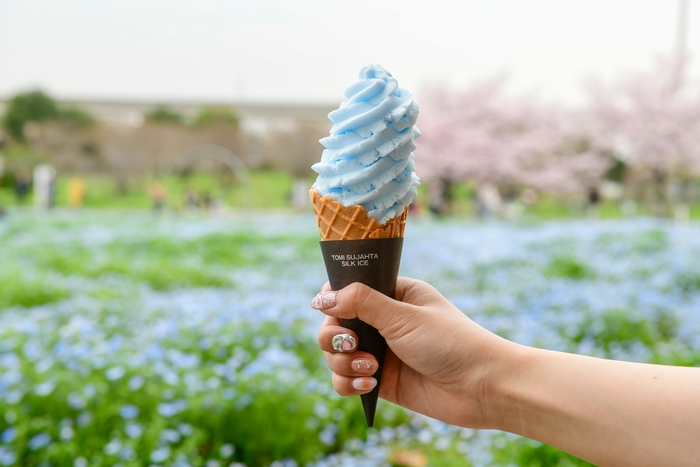 舎人ネモフィラソフト(税込450円)