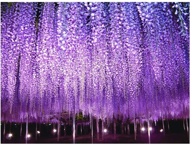 WcTNwnKR1ApcYdtMoO8Q.jpg?w=940&h=940