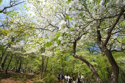 WdVLZJBpqmTvORTpWN6m.jpg?w=940&h=940