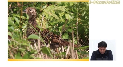 WekUTEL0UoDDfEe2zxtM.jpg?w=940&h=940