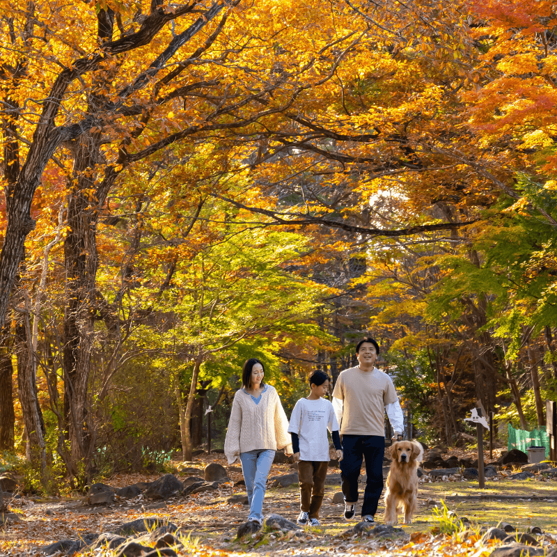 自然あふれるドッグパーク