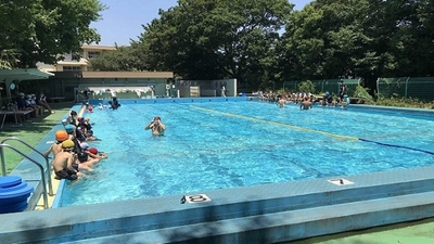 WgjSYZrVTVz993RehpSa.jpg?w=940&h=940