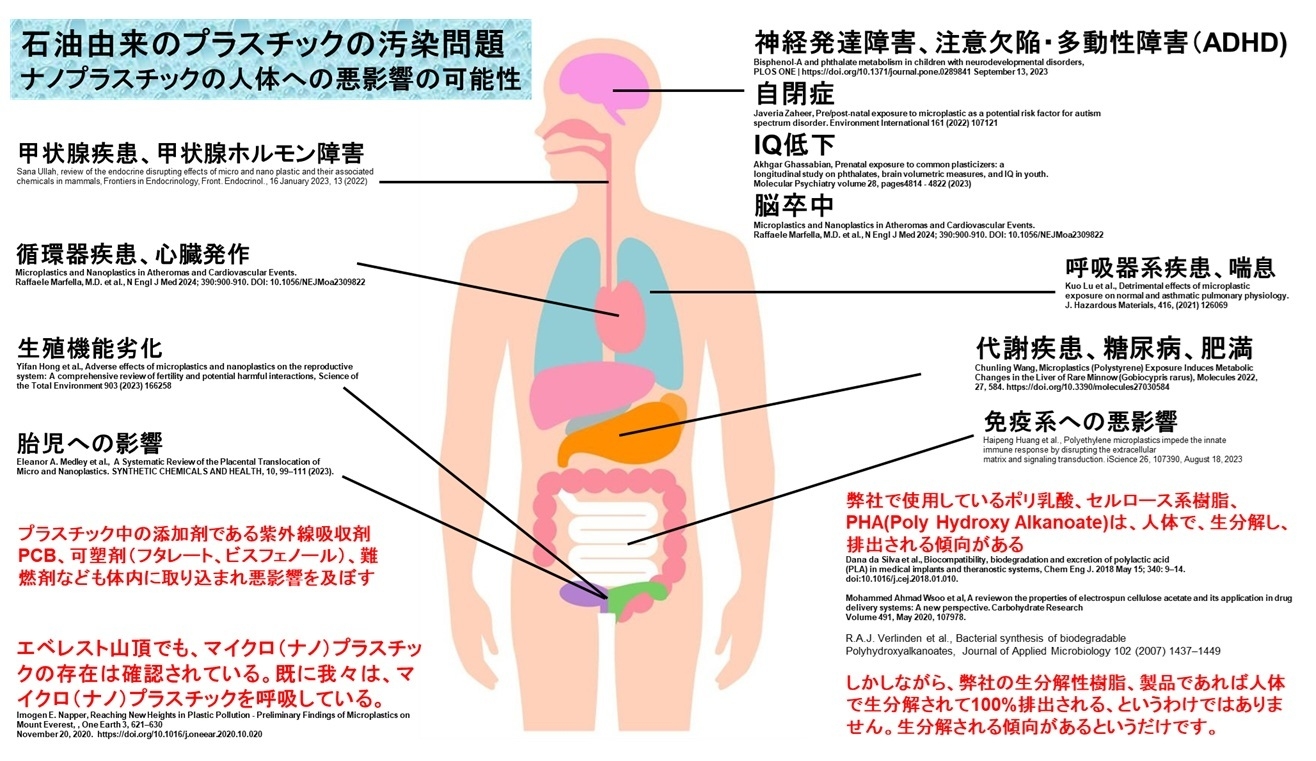 図:ナノプラスチック汚染の健康へのリスク