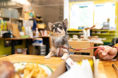 WhTJ1ftJf3KljHEf2Ydk.jpg?w=940&h=940