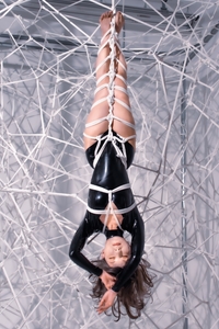 Wl6SnAmD7A7Fe9TVYIJ9.jpg?w=940&h=940