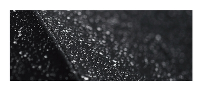 WlhlXLx7BtyO8o5ox8we.jpg?w=940&h=940