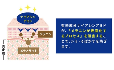 WmOBrEjglEQDTHzkL40l.jpg?w=940&h=940