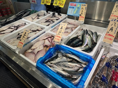 WnJaULHdFJMMIrysOWqy.jpg?w=940&h=940