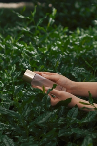 WoNPNiwHHih7fuVWYmdL.jpeg?w=940&h=940