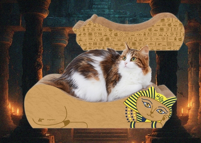 WoZXqIEWU5ZhWoESvnva.jpg?w=940&h=940