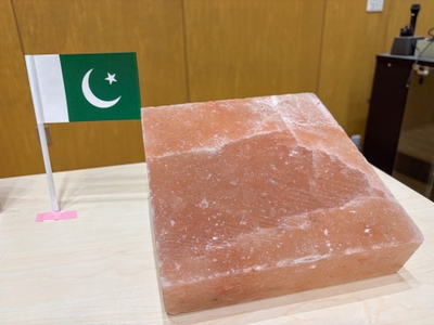 大阪信愛学院小学校で展示している「ピンクソルト」