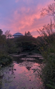 展望塔と夕景
