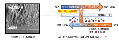 WpbWZX8WppF3DJLQrLn1.png?w=940&h=940