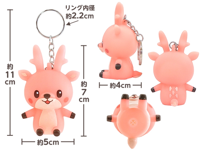 正面・側面・背面・底面/サイズ情報