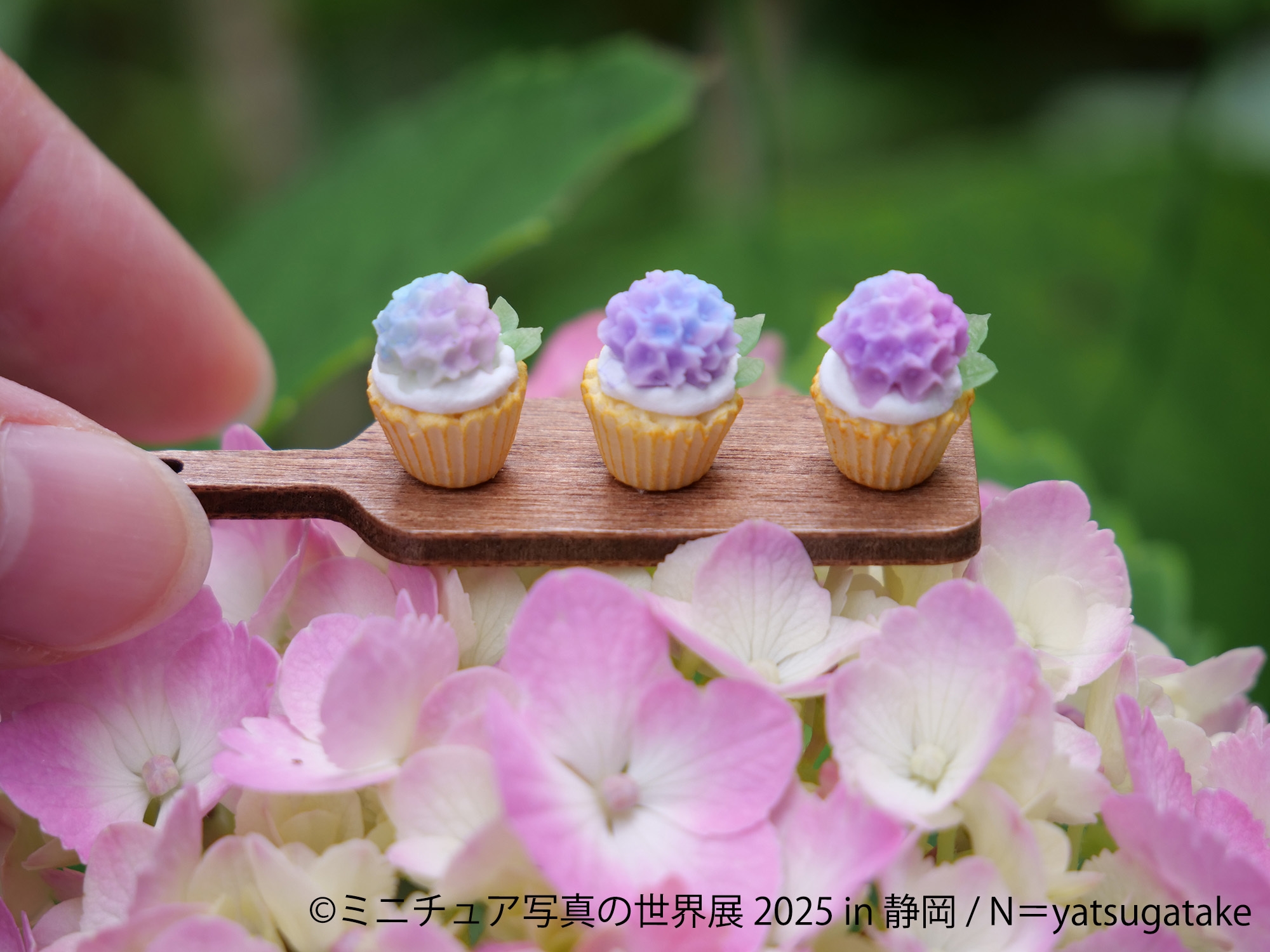 ミニチュア写真の世界展 展示作品:N=yatsugatake