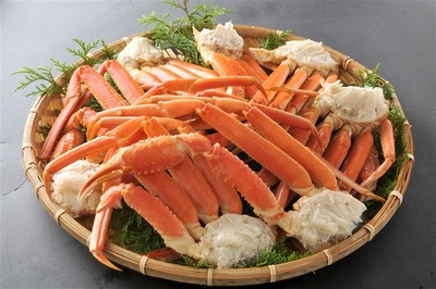 WtBwEFIzMPO8xtYXzL5u.jpg?w=940&h=940