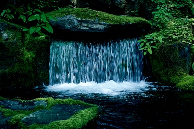 Wu8wkAv8jtH4bm86qMee.jpg?w=940&h=940