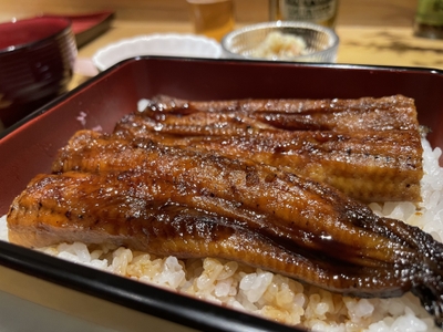 鹿児島・大隈産鰻