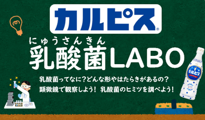 Ww03sI1useLAx0wctQis.png?w=940&h=940