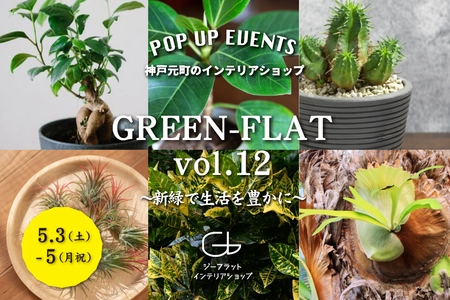 大小さまざまな植物が集まるイベント『GREEN-FLAT vol.12』を 神戸元町のジーフラット インテリアショップにて5/3～5/5に開催