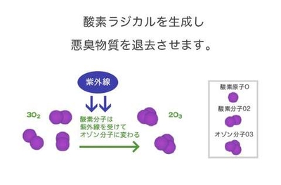 WwAzoo40Zs1ReVPeWtsl.jpg?w=940&h=940