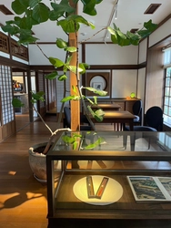 世界初！箸袋、箸パッケージが現地レストランとコラボし発売へ