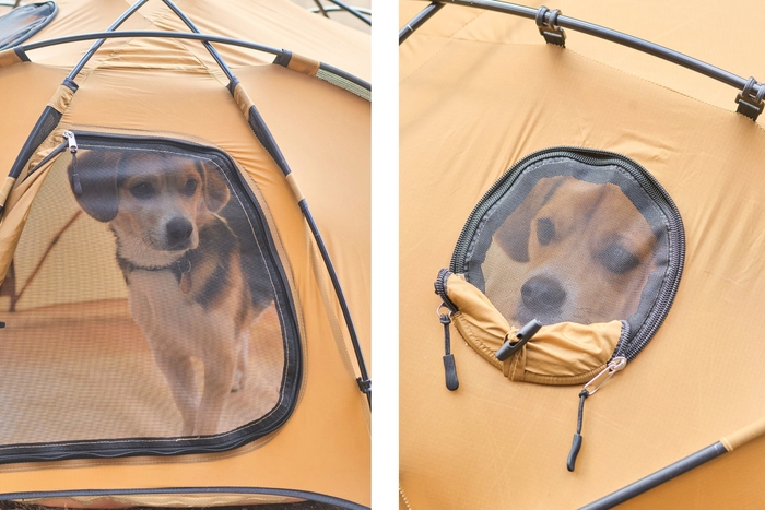 どこからも見えるから安心