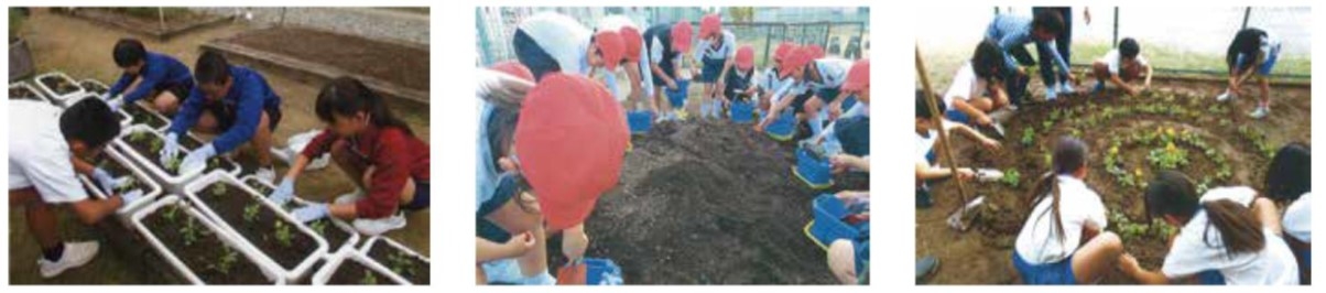 花の苗を植える様子 イメージ画像