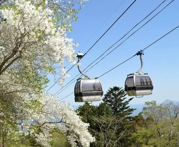 WyC6KmKTxtN5XDvrMt2f.jpg?w=940&h=940