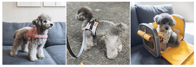 WyYv2wubSSLXJsBXrJro.png?w=940&h=940