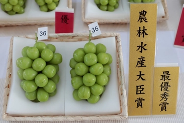 山形県産ぶどう「シャインマスカット品評会出品商品を 数量限定で予約販売開始！ ＪＡタウンのショップ「小さなＹＡＭＡＧＡＴＡマルシェ」に登場！