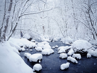 白銀の世界へ姿を変えた渓流と雪の綿帽子