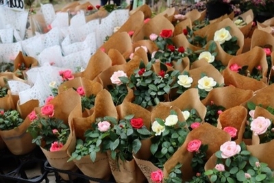 ボタニカルショップ（令和６年撮影）