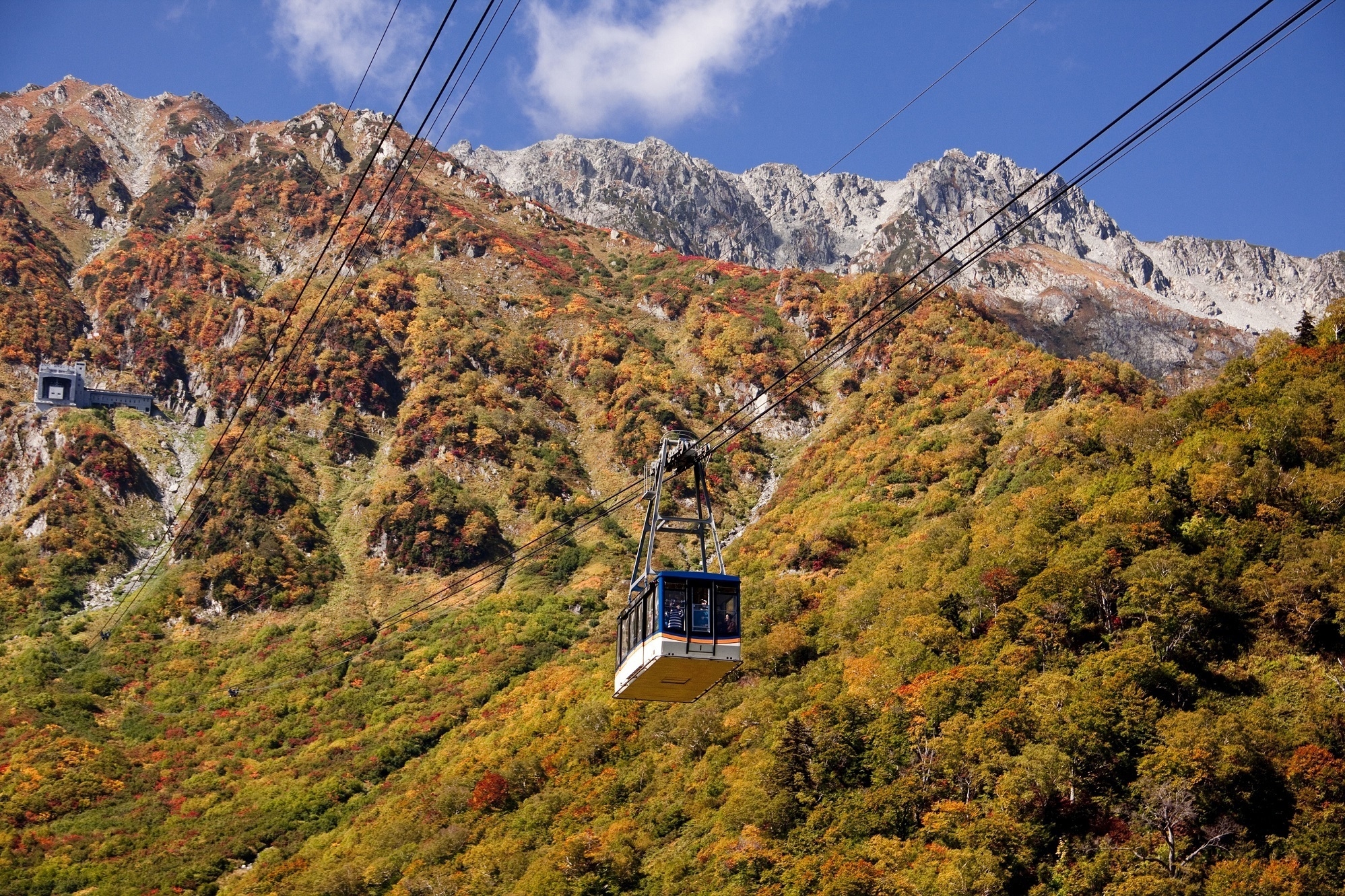 標高2,316m~1,828m大観峰~黒部平