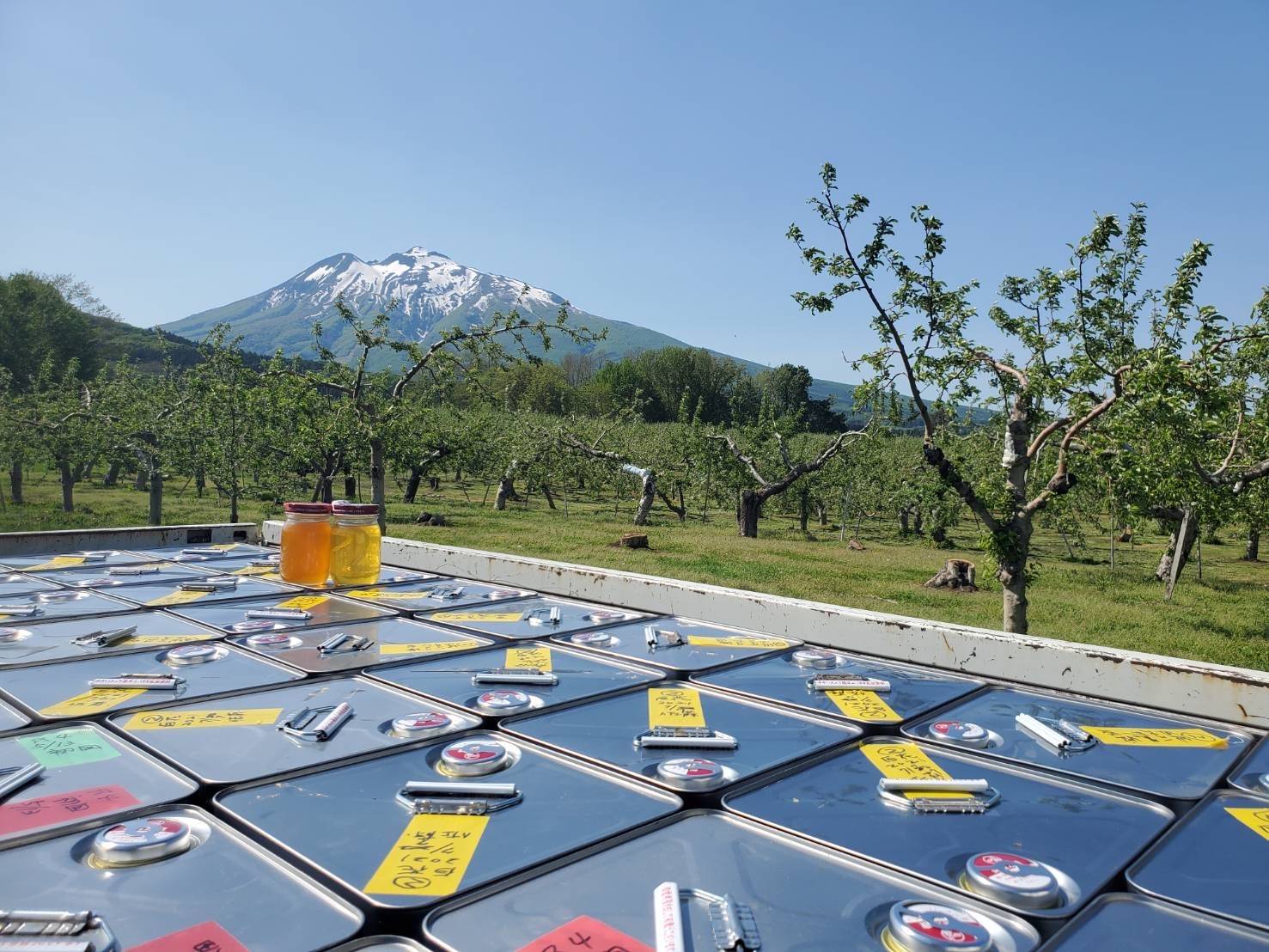 2022年採れたての蜂蜜をローハニー(生蜂蜜)で 宮崎のれんげ、青森のりんごなど春を感じる4種類の新蜜が登場