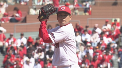 X1mrJoiIroKW3EKcqanu.jpg?w=940&h=940