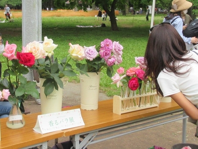 X22yh8srC1B2tMSsRiKv.jpg?w=940&h=940