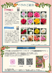 X2aqpqRFlN3DIfCOKf1I.png?w=940&h=940