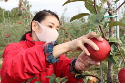 X2zbqiATI95TcIElppKk.jpg?w=940&h=940